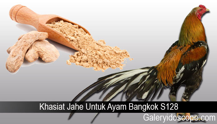 Khasiat Jahe Untuk Ayam Bangkok S128