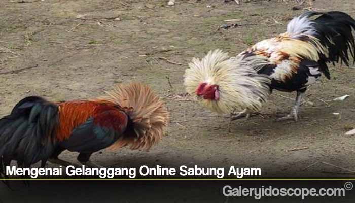 Mengenai Gelanggang Online Sabung Ayam
